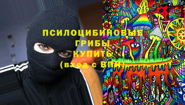 шишки Гусиноозёрск