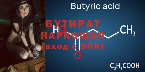 шишки Гусиноозёрск